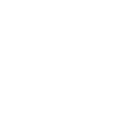 客制化服务与 AI 模型开发