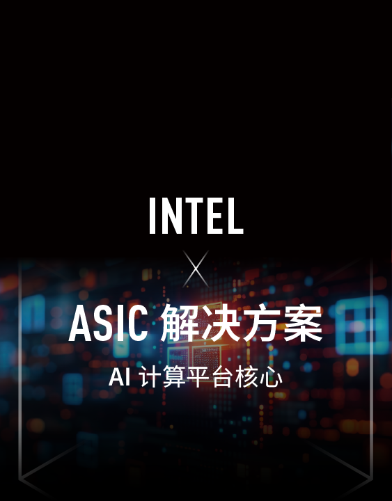 Intel x ASIC 解决方案